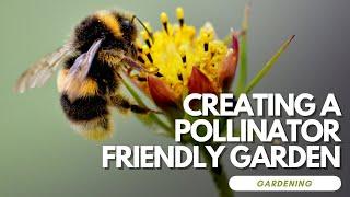 Creating a Pollinator-Friendly Garden