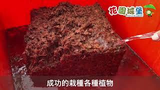 Grow Soil coconut husk pieces 100%天然椰塊 椰殼塊 椰纖塊 椰棕塊 花園城堡園藝資材倉庫