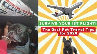 Stress-Free Travel With Your Pet | How to prepare your dog for Flights, & flying in cabin or cargo