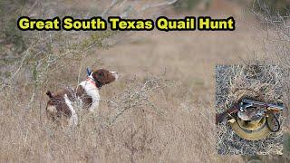 South Texas Wild Quail Hunt