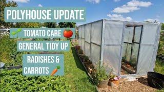  TOMATOES, GOOSEBERRIES & CUTTING THE GRASS PATHS || TOMATO TIPS || LASY DAY ALLOTMENT GARDEN 