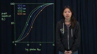 Fluence Response Curves and Action Spectra (Part 3 of 3)