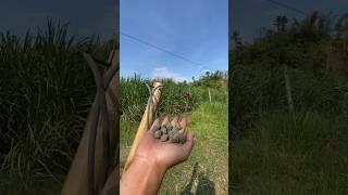 Diy Slingshotbest for hunting #craft #diy #handmade #amazing