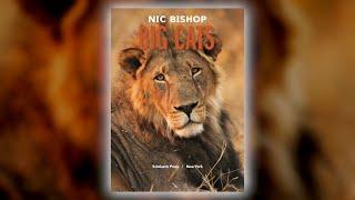 Nic Bishop Big Cats by Nic Bishop | Scholastic Fall 2019 Online Preview