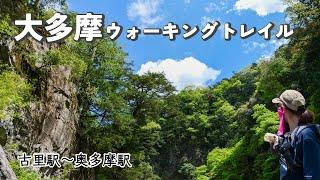 【奥多摩】大多摩ウォーキングトレイルで癒されハイキング | 青梅線・古里〜奥多摩駅【東京都】