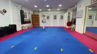 Yuki Fung, Island Taekwon Do, SIngapore - Yoo Sin Tul & Choong Jang Tul