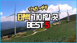 태백 가볼만한곳 BEST5 (강원도 여행+맛집)