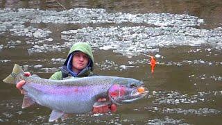 Ice Flows & BOBBER DOWNS! Steelhead Fishing!