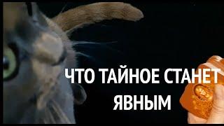 ЧТО ТАЙНОЕ СТАНЕТ ЯВНЫМ taro gadanie / Таро DIAMOND WAY