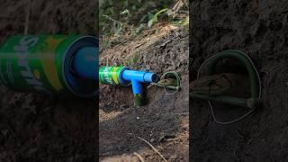DIY Snake Trap using can & pvc #creativesnaketrap #buildsnaketrap
