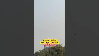 Ustad Agha Bhaiyyu The Real Kite Fighter⭐️⭐️ #kite #kites #kiteflying #patang #youtubeshorts #shorts