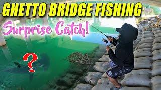 Ghetto Bridge Fishing You Never Know What You Will Find!