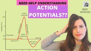 ACTION POTENTIALS: Depolarization and repolarization on an axon, Includes All or nothing principle