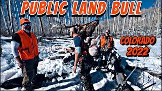 Colorado Elk Hunt PUBLIC LAND Drop Camp Second Rifle Season…..Part 2