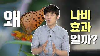 나비효과의 어원은 어디에서 유래되었을까? / YTN 사이언스