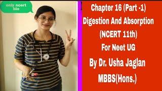 Digestion And Absorption  ncert 11th biology (chapter -16)