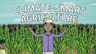 Climate-Smart Agriculture in Action