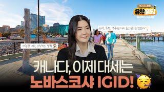 캐나다 영주권에 가까워지는 최단 경로 "노바스코샤 IGID" | 잡오퍼도 보장?!