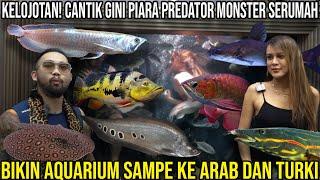 KELOJOTAN! CANTIK GINI PIARA PREDATOR MONSTER SERUMAH, BIKIN AQUARIUM SAMPE KE ARAB DAN TURKI