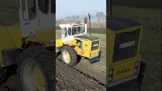 Plowing | Rába Steiger 250