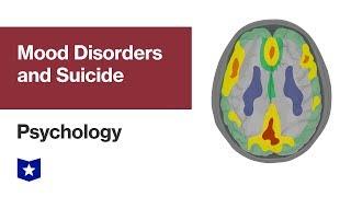 Mood Disorders and Suicide | Psychology