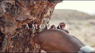 AMOUAGE EXCEPTIONAL EXTRAITS