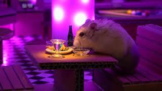 Hamster PUB (ENG SUB)