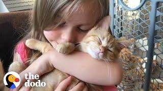 Little Girls Have The Most Special Relationship With Cats | The Dodo