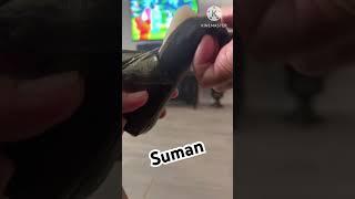my favorite SUMAN / Sticky rice