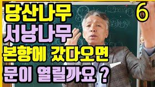 본향기도.당산기도(본향에..다녀와라?)(당산문을..열려면..당산에.가라?)조선시대..양반은..전체인구의..5%미만(너도.나도.모두.양반인.시대)무속학원
