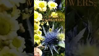 DailyBloom#shorts #dailybloom #love #flowers #unpredictable #life #flowerlover #positivevibes #gift