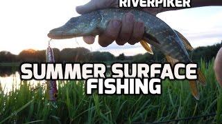 Pike fishing - Summer surface lure fishing for pike (video 3)