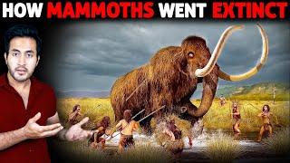 Who Killed The BIGGEST LAND ANIMALS - Wooly Mammoths?