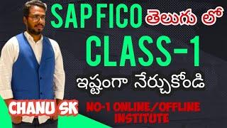 SAP FICO Introduction Class in telugu/SAP FICO Online Demo Class in Telugu//SAP FICO for beginners#1