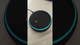 alexa RGB