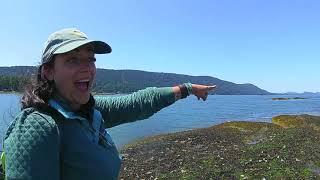 Global Treks Gulf Islands Expedition 2018- Michaela Leaf