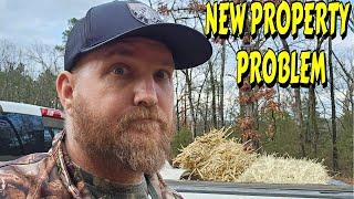 WORK NEEDS DONE ASAP |tiny house, homesteading, off-grid, cabin build, DIY HOW TO sawmill tractor