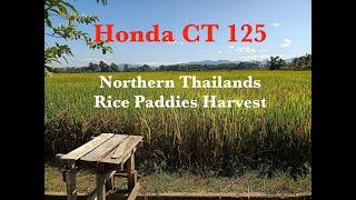 Honda CT 125      Northern Thailands Rice Paddies Harvest