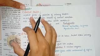 Accessory Glands of Male Reproductive system in Hindi Neet 2023 Accessory Ducts Class12 HSC Biology