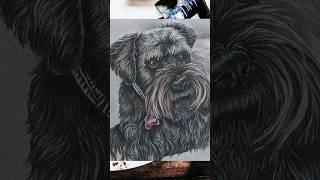 Pet Portraits! #petparent #petpainting #petphotos #petdrawing #petart #petportrait #petlover #art