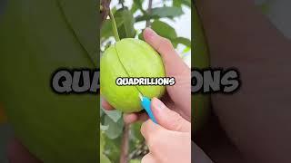 Mind Bending Truths 