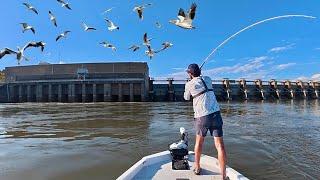 The SIREN SOUNDED and the Spillway Monsters WENT CRAZY!!!!!! -- (Non-stop Action)