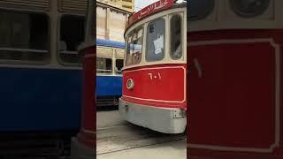 Iconic History | The amazing tram with nearly 100 years of service in Alexandria Egypt