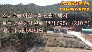 서산시 인지면 695㎡ (210py) 5천5백만원 소나무숲 야산자락 건축허가 완료 서산부동산 서산시부동산 서산토지 서산전원주택지 세컨하우스부지 서산주택지 서산원공인중개사