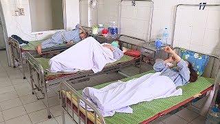 Tin Tức 24h: Gần 50.000 ca mắc sốt xuất huyết trên cả nước