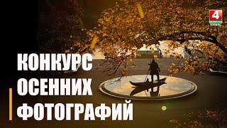 Конкурс осенних фото проводит ТРК "Гомель"