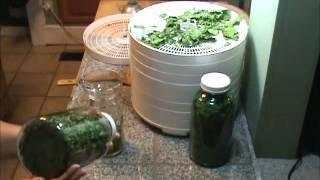 How to Dehydrate Spinach Video #38