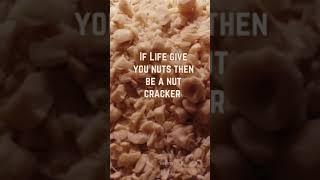 If Life Give You Nuts be a Nut CrackerNut Quotes#shorts