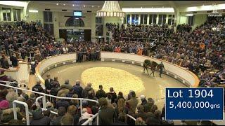  Alcohol Free sells for 5,400,000gns at the Tattersalls December Mares Sale