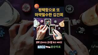 윤석열이 장모 최은순에게 불법으로 선물한 평택 선라이즈!! 마약밀수까지 잘해먹네!!  #정치타로 #시사타로 #김건희마약 #윤석열비리 #평택선라이즈 #평택항